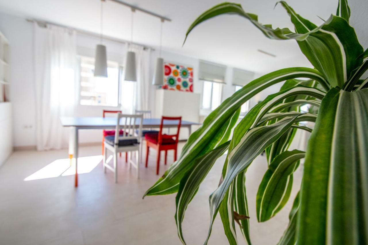 Apartamento El Rayo Verde Cádiz Exteriör bild